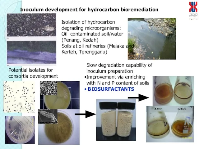 Inoculum development for hydrocarbon bioremediation Isolation of hydrocarbon degrading microorganisms: Oil contaminated