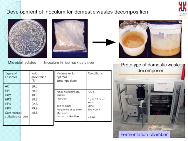 Development of inoculum for domestic wastes decomposition Microbial isolates Inoculum in rice