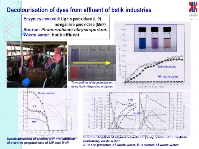 Decolourisation of dyes from effluent of batik industries Decolourisation of wastes with