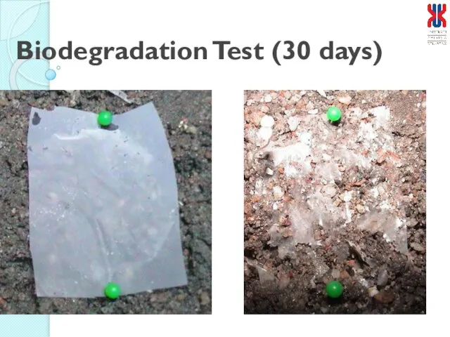Biodegradation Test (30 days)