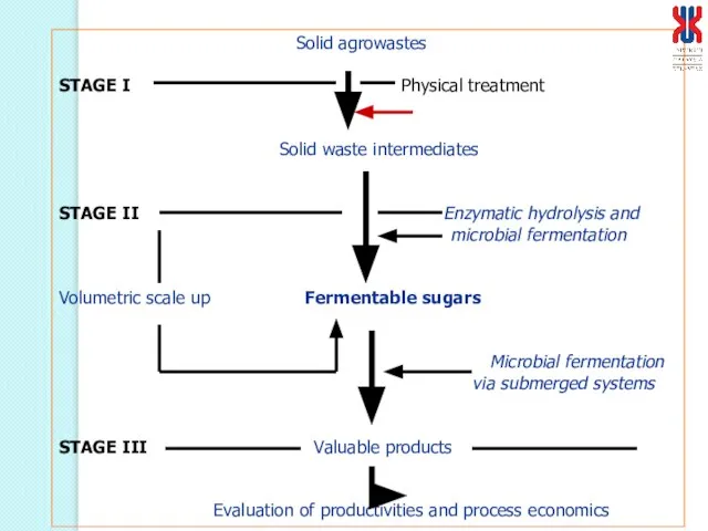 Solid agrowastes STAGE I Physical treatment Solid waste intermediates STAGE II Enzymatic