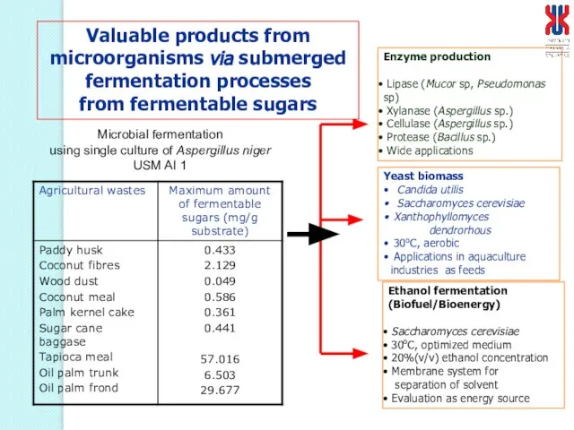 Valuable products from microorganisms via submerged fermentation processes from fermentable sugars Ethanol