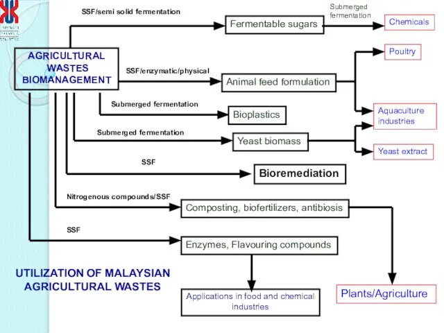 AGRICULTURAL WASTES BIOMANAGEMENT Animal feed formulation Fermentable sugars Yeast biomass Poultry Aquaculture