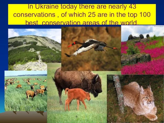 In Ukraine today there are nearly 43 conservations , of which 25
