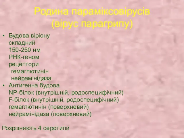 Родина параміксовірусів (вірус парагрипу) Будова віріону складний 150-250 нм РНК-геном рецептори гемаглютинін