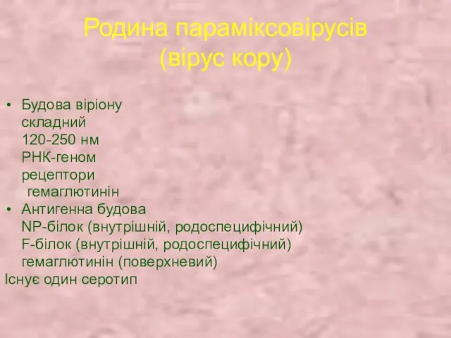 Родина параміксовірусів (вірус кору) Будова віріону складний 120-250 нм РНК-геном рецептори гемаглютинін