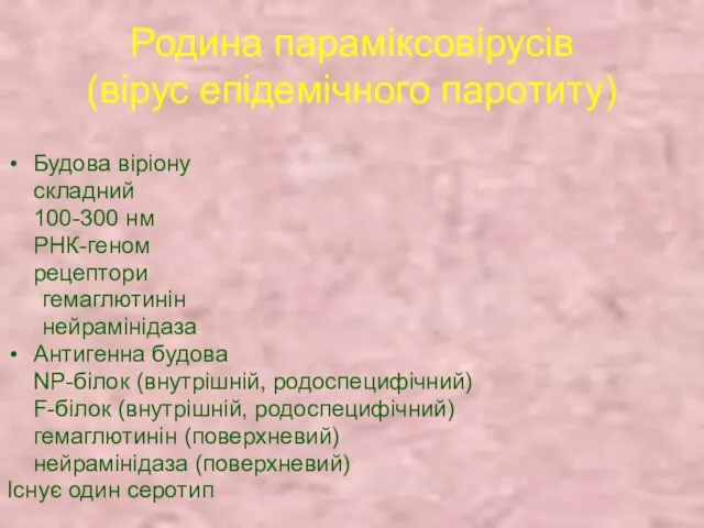 Родина параміксовірусів (вірус епідемічного паротиту) Будова віріону складний 100-300 нм РНК-геном рецептори