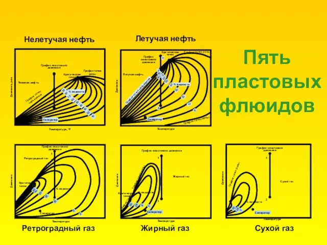 Пять пластовых флюидов 25 Тяжелая нефть Критическая точка Давление, psia График точки