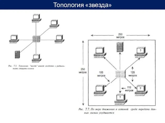 Топология «звезда»