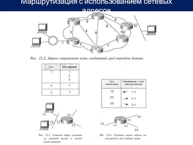 Маршрутизация с использованием сетевых адресов