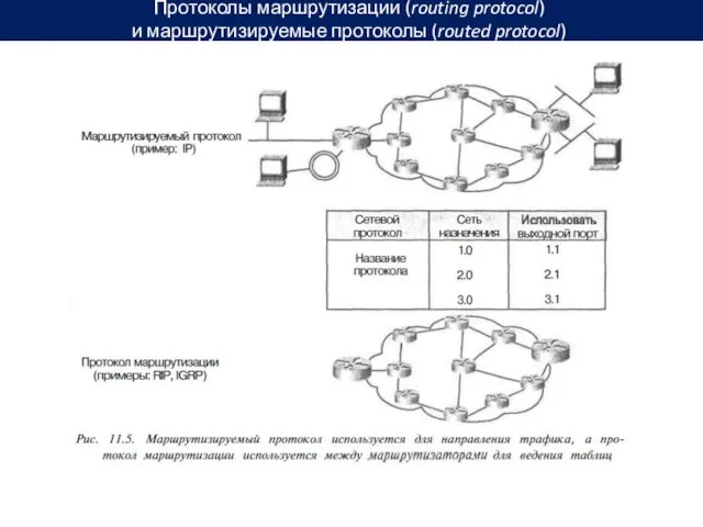 Протоколы маршрутизации (routing protocol) и маршрутизируемые протоколы (routed protocol)