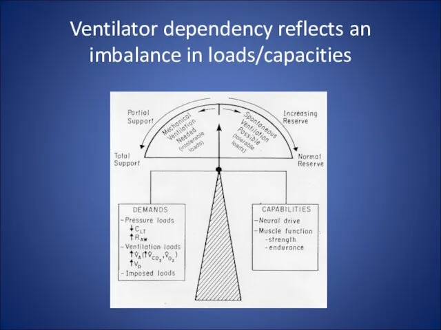 Ventilator dependency reflects an imbalance in loads/capacities