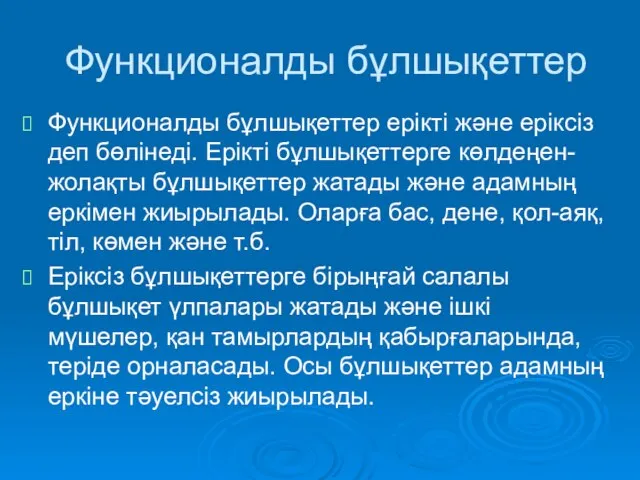 Функционалды бұлшықеттер Функционалды бұлшықеттер ерікті және еріксіз деп бөлінеді. Ерікті бұлшықеттерге көлдеңен-жолақты