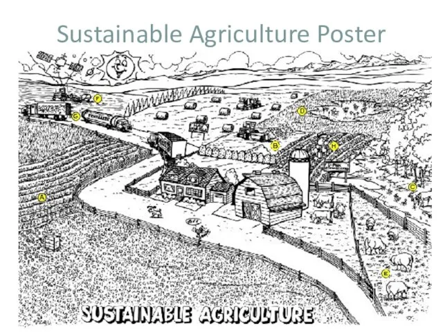 Sustainable Agriculture Poster