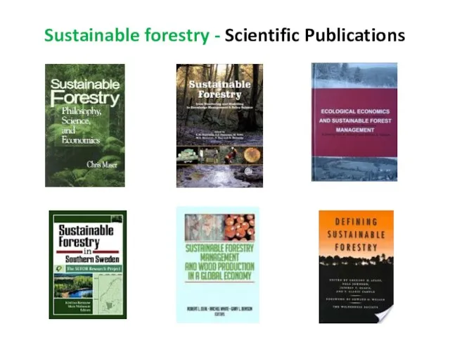 Sustainable forestry - Scientific Publications