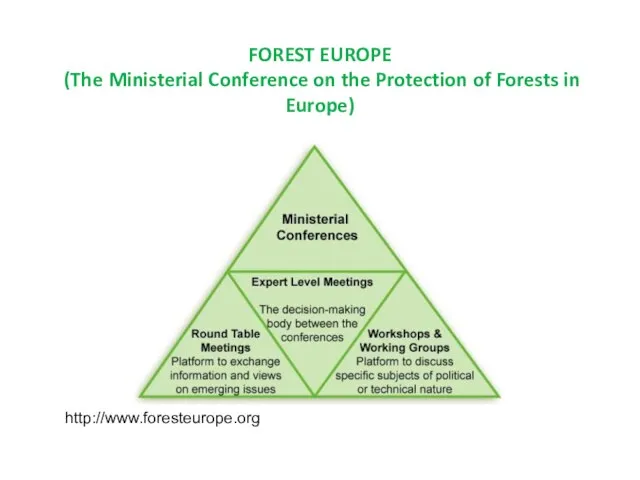 FOREST EUROPE (The Ministerial Conference on the Protection of Forests in Europe) http://www.foresteurope.org