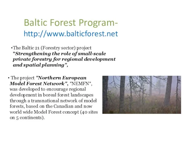 Baltic Forest Program- http://www.balticforest.net The Baltic 21 (Forestry sector) project "Strengthening the