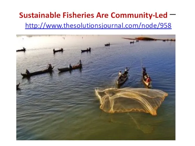 Sustainable Fisheries Are Community-Led – http://www.thesolutionsjournal.com/node/958