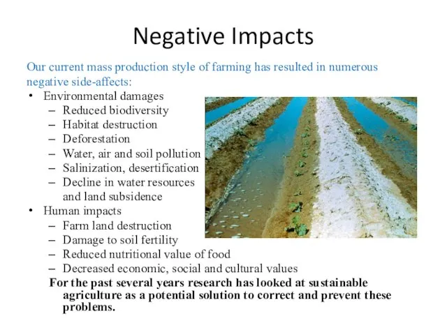 Negative Impacts Our current mass production style of farming has resulted in