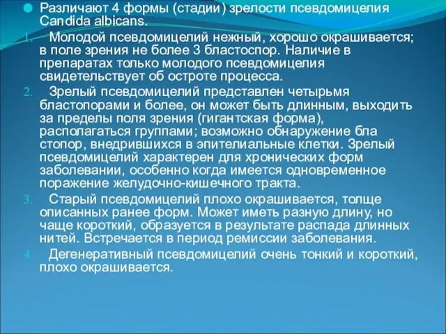 Различают 4 формы (стадии) зрелости псевдомицелия Candida albicans. Молодой псевдомицелий нежный, хорошо