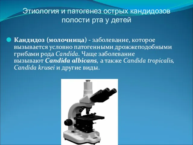 Этиология и патогенез острых кандидозов полости рта у детей Кандидоз (молочница) -