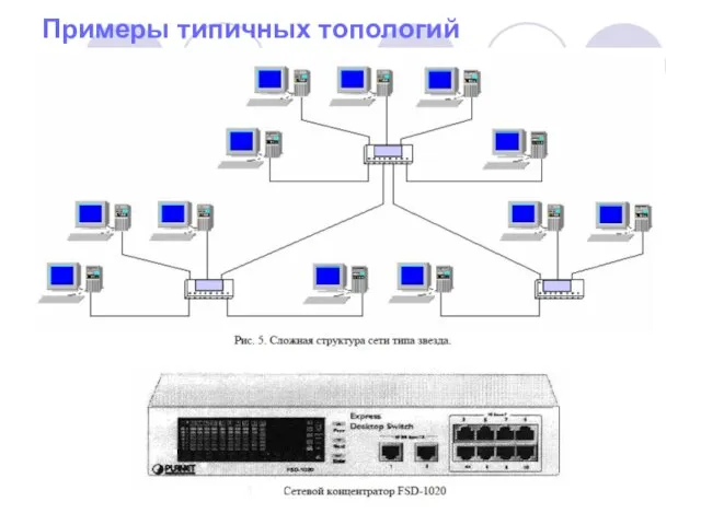 Примеры типичных топологий