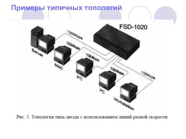 Примеры типичных топологий