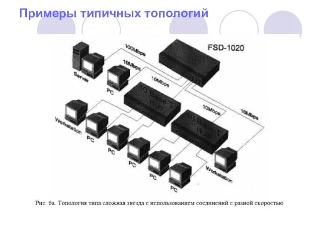 Примеры типичных топологий