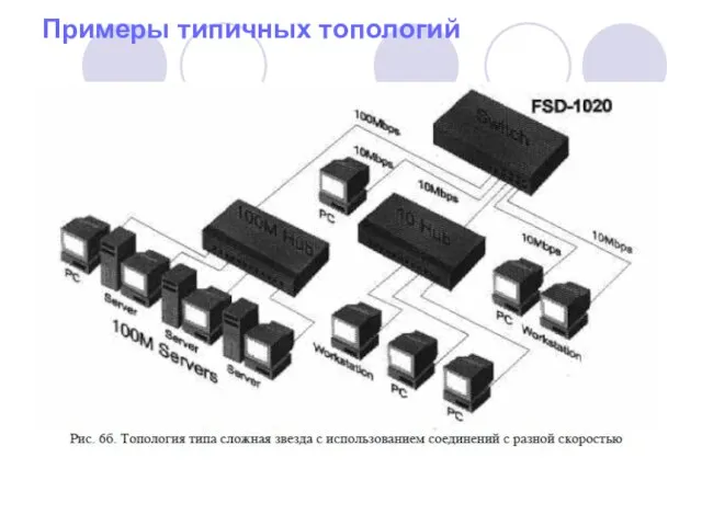 Примеры типичных топологий
