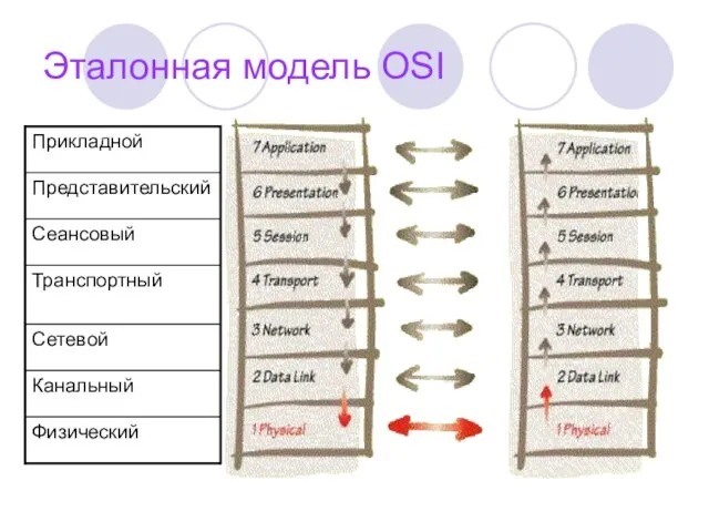 Эталонная модель OSI