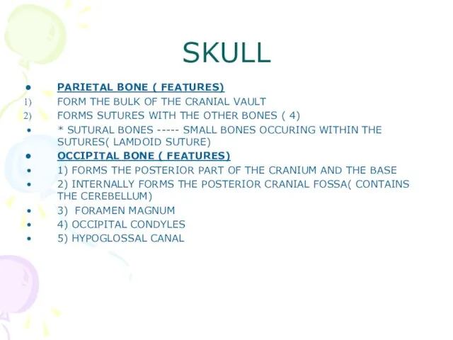 SKULL PARIETAL BONE ( FEATURES) FORM THE BULK OF THE CRANIAL VAULT