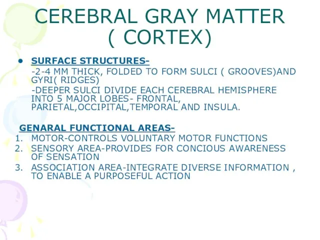 CEREBRAL GRAY MATTER ( CORTEX) SURFACE STRUCTURES- -2-4 MM THICK, FOLDED TO