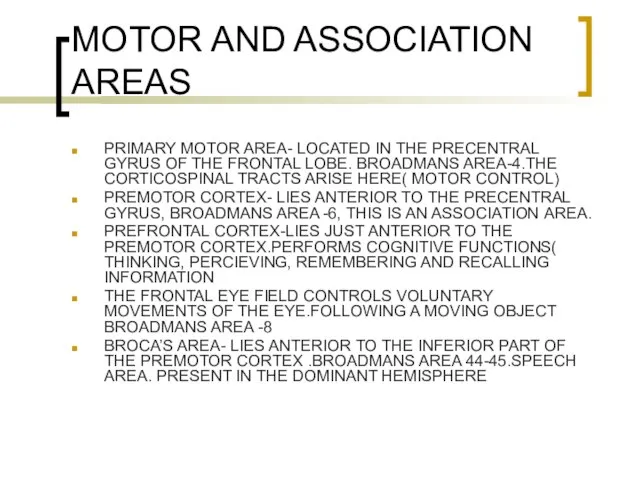 MOTOR AND ASSOCIATION AREAS PRIMARY MOTOR AREA- LOCATED IN THE PRECENTRAL GYRUS