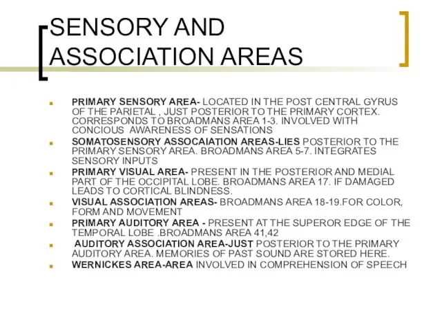 SENSORY AND ASSOCIATION AREAS PRIMARY SENSORY AREA- LOCATED IN THE POST CENTRAL