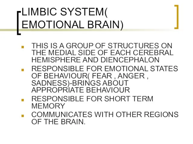 LIMBIC SYSTEM( EMOTIONAL BRAIN) THIS IS A GROUP OF STRUCTURES ON THE