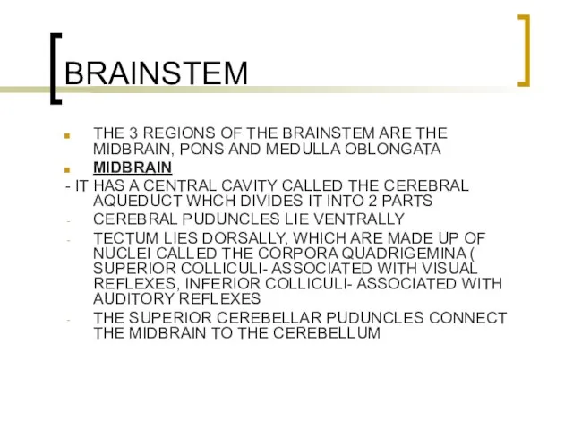 BRAINSTEM THE 3 REGIONS OF THE BRAINSTEM ARE THE MIDBRAIN, PONS AND