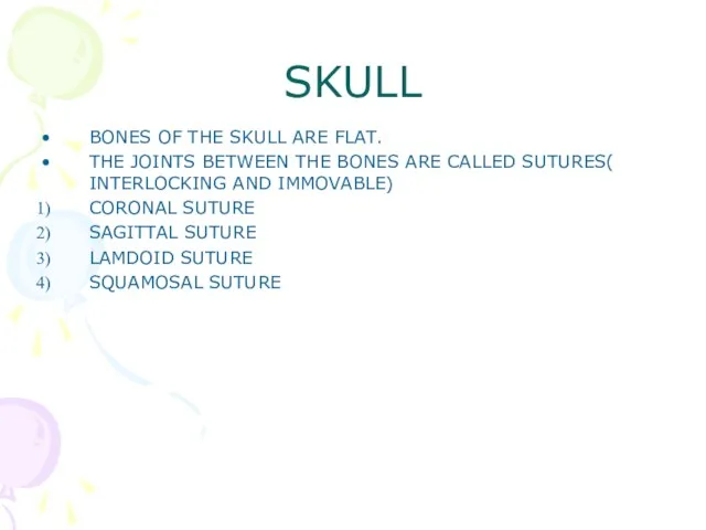 SKULL BONES OF THE SKULL ARE FLAT. THE JOINTS BETWEEN THE BONES