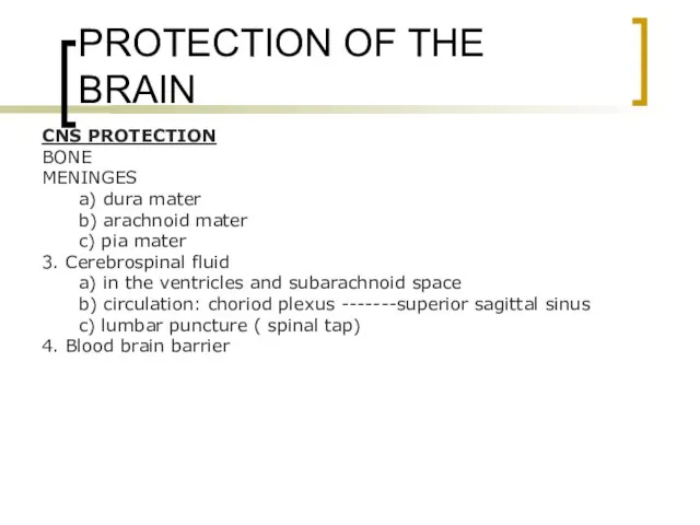 PROTECTION OF THE BRAIN CNS PROTECTION BONE MENINGES a) dura mater b)