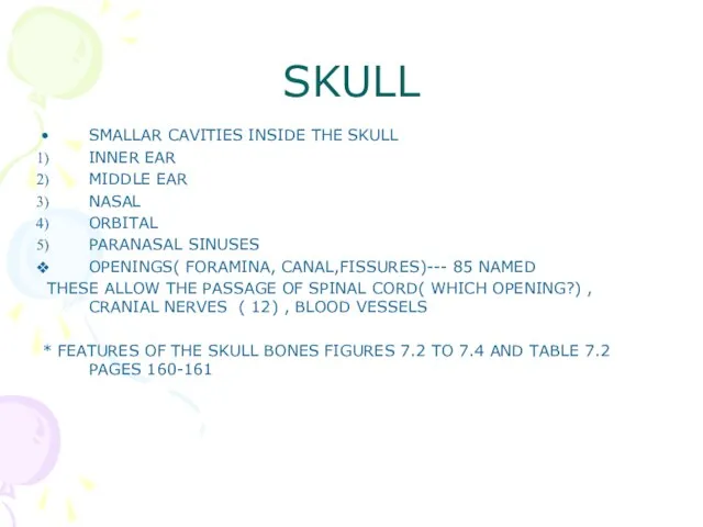 SKULL SMALLAR CAVITIES INSIDE THE SKULL INNER EAR MIDDLE EAR NASAL ORBITAL