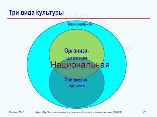 Три вида культуры Национальная Организа-ционная Профессио-нальная Национальная