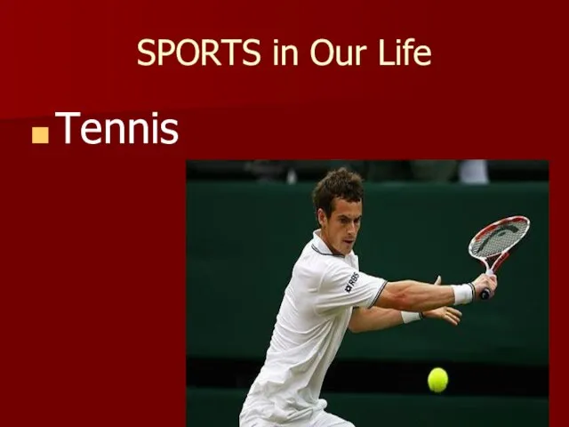 SPORTS in Our Life Tennis