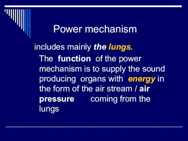 Power mechanism includes mainly the lungs. The function of the power mechanism