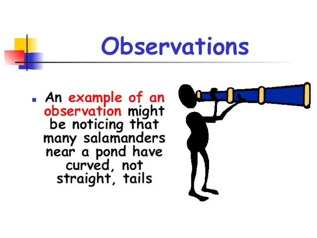 Observations An example of an observation might be noticing that many salamanders