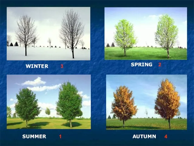 WINTER SPRING SUMMER AUTUMN 3 2 1 4