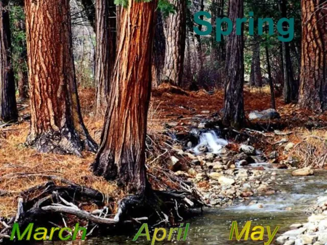 Spring March April May