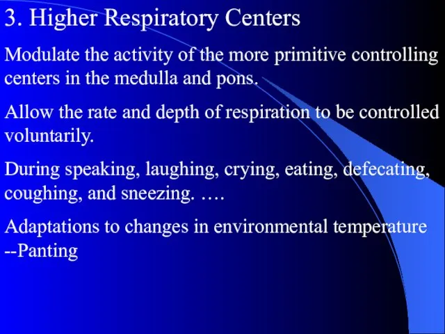 3. Higher Respiratory Centers Modulate the activity of the more primitive controlling