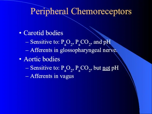Peripheral Chemoreceptors Carotid bodies Sensitive to: PaO2, PaCO2, and pH Afferents in