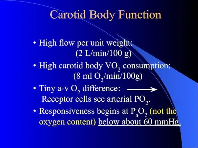 Carotid Body Function High flow per unit weight: (2 L/min/100 g) High