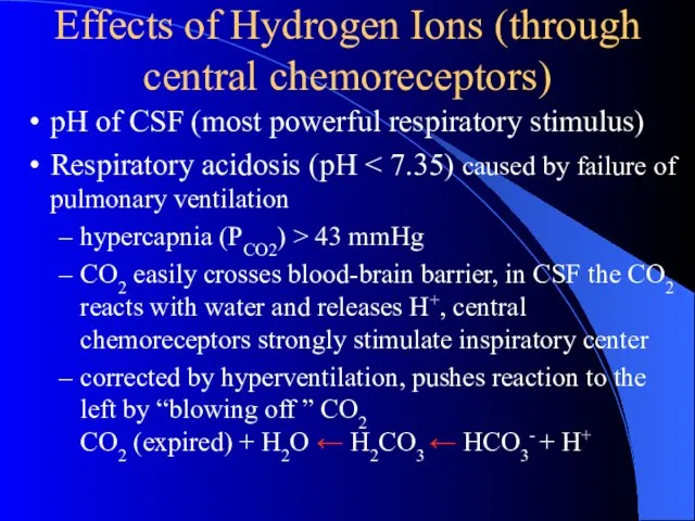 Effects of Hydrogen Ions (through central chemoreceptors) pH of CSF (most powerful