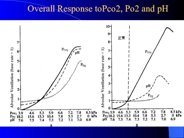 Overall Response toPco2, Po2 and pH